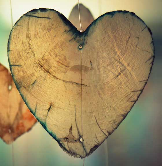 Focus on building a product that your
users love