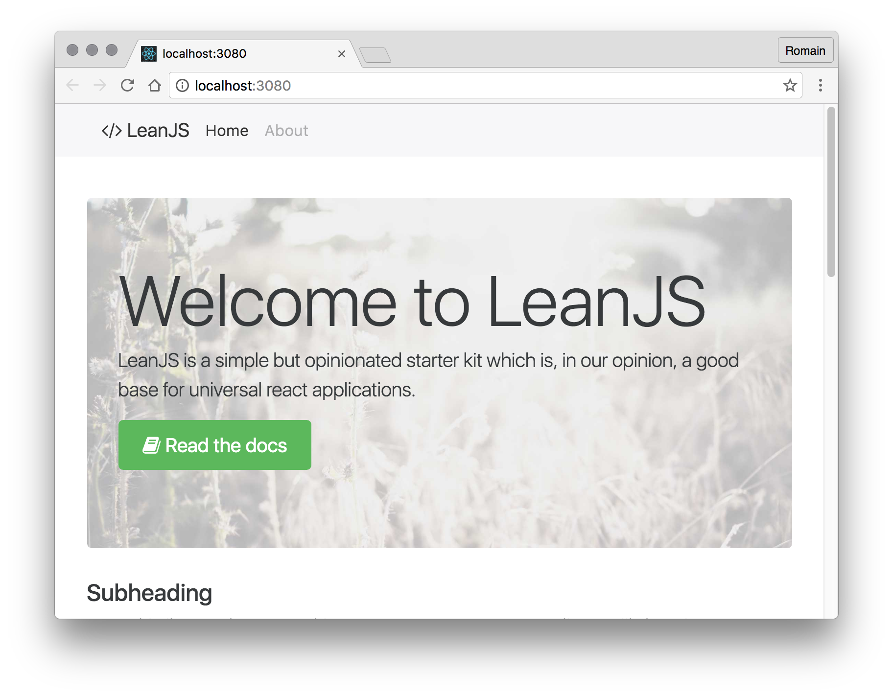 Welcome, beautiful universal LeanJS default homepage!